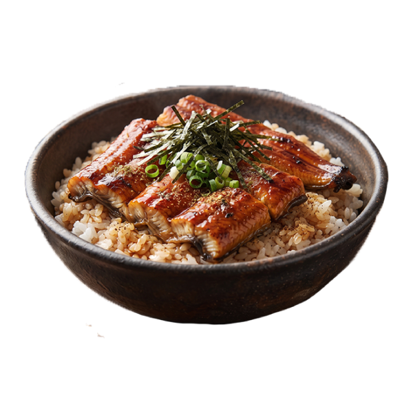 Unagi Don