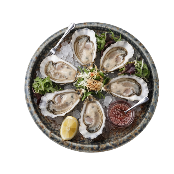 Oyster (1pcs/6pcs)